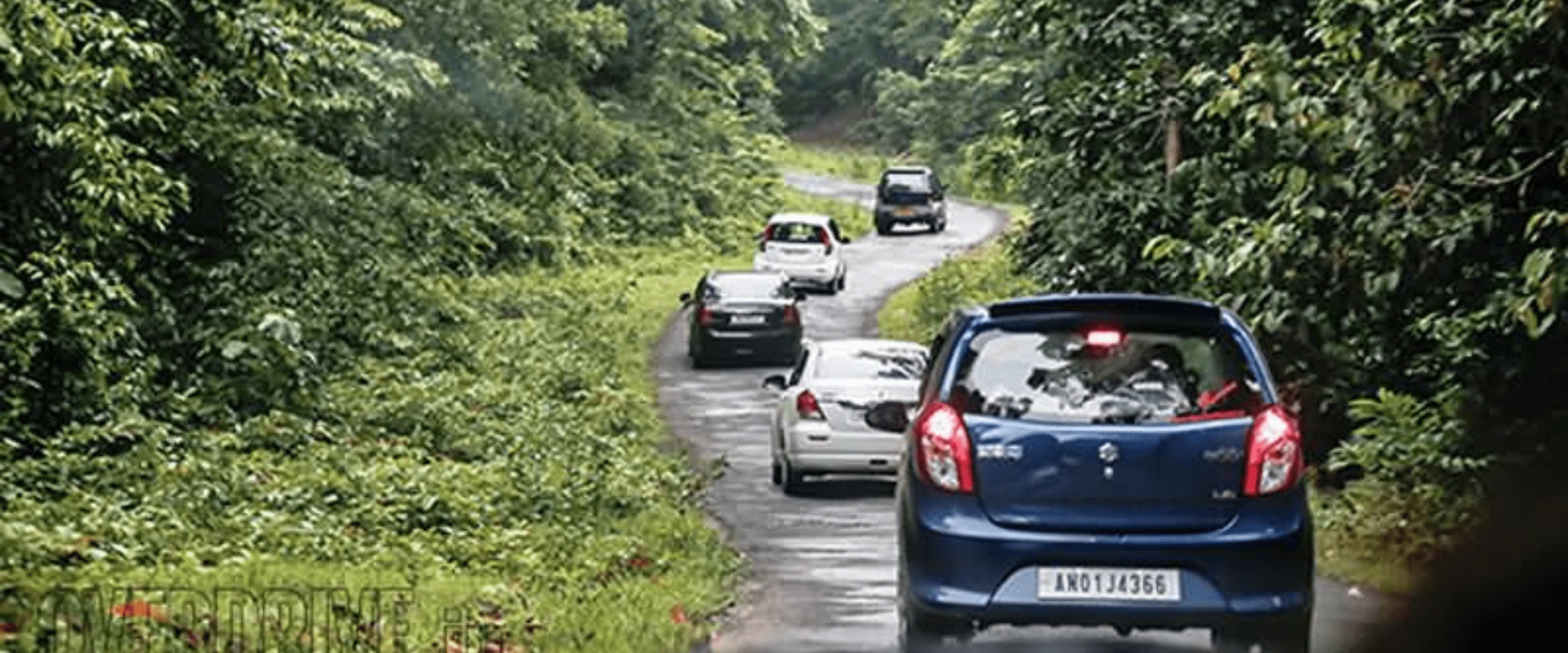 Andaman Group Tour Package