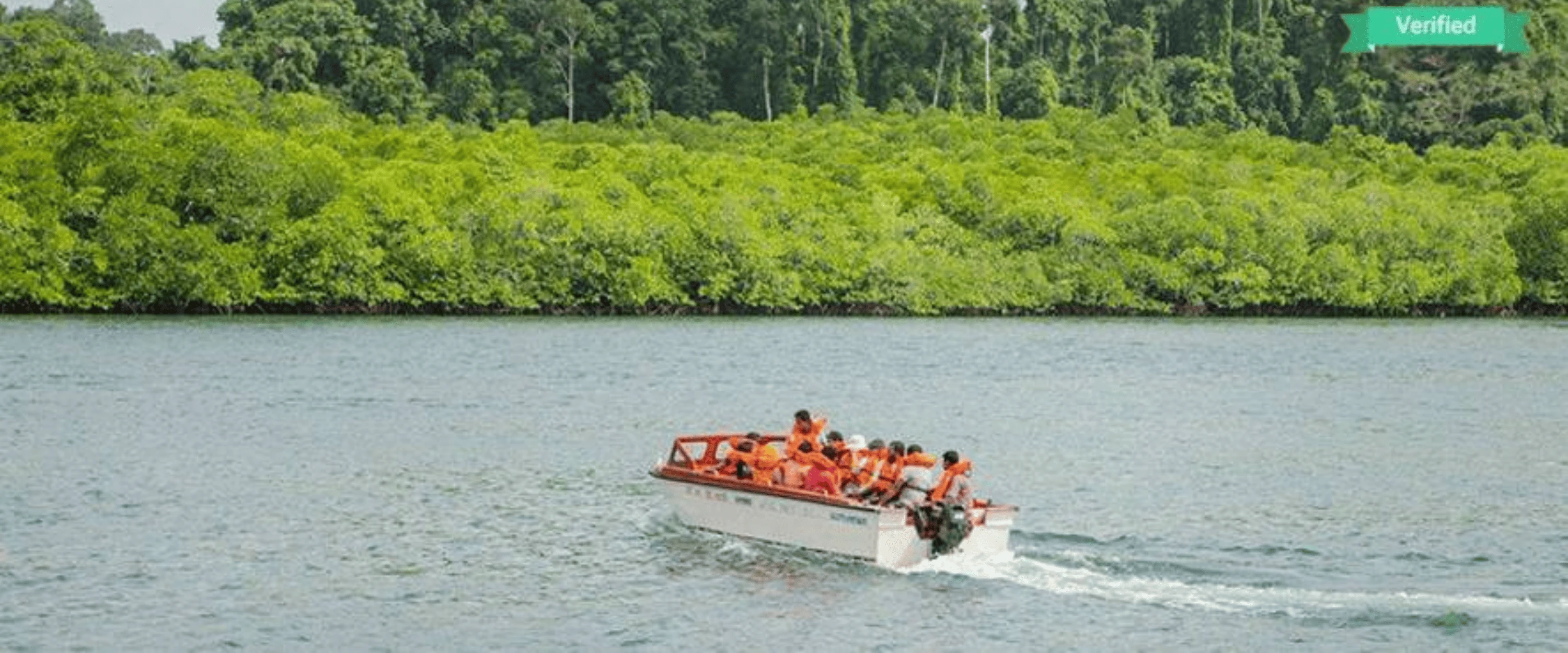 Andaman Group Tour Package