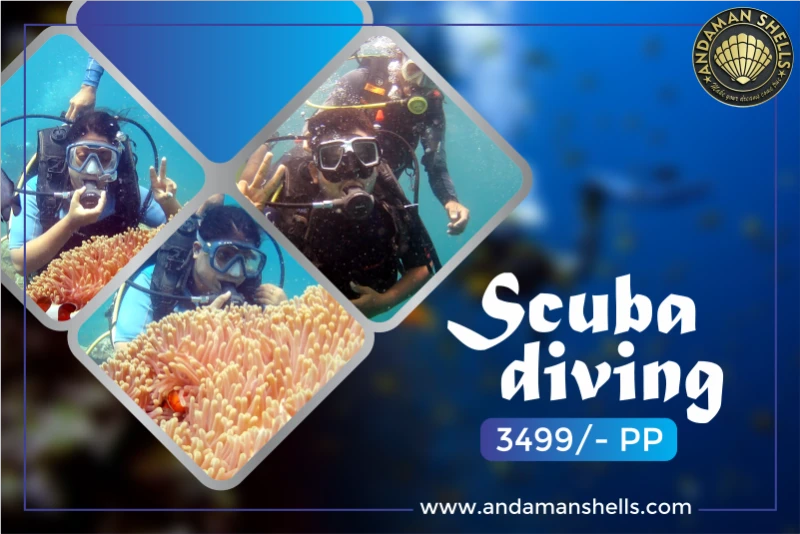 Scuba Diving
