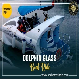 Take Ride  of Andaman Dolphin Uncover at Andaman Sea