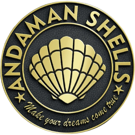 Andaman Shells