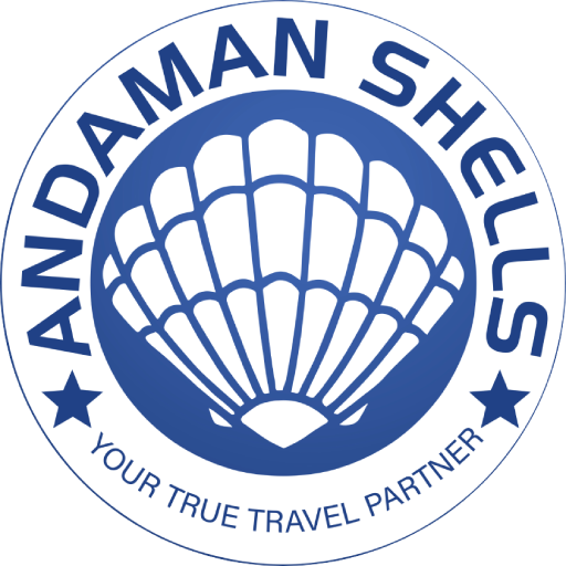 Andaman Shells