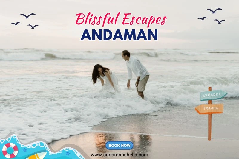 Blissful Escapes