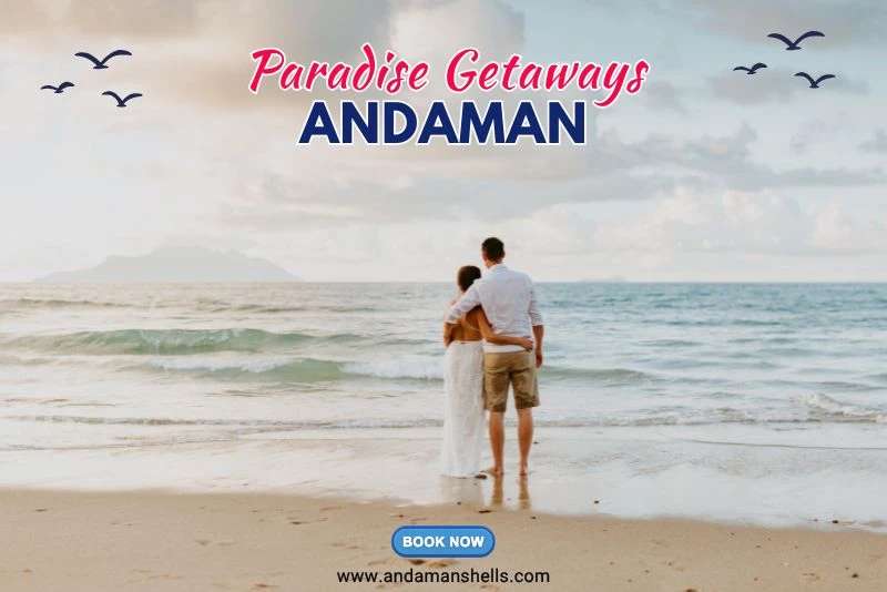 Paradise Getaways