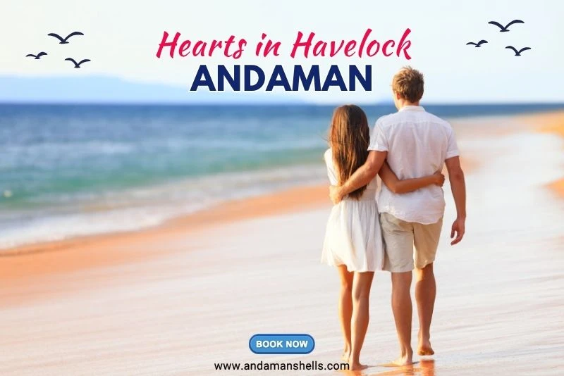 Hearts in Havelock